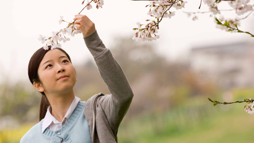 受験のシンデレラ 2枚目の写真・画像