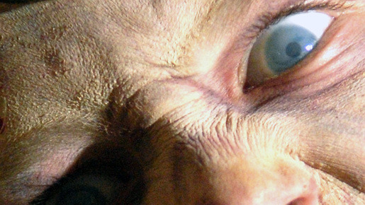 ダイアリー・オブ・ザ・デッド 1枚目の写真・画像