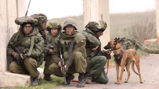 ボーフォート　―レバノンからの撤退― 1枚目の写真・画像