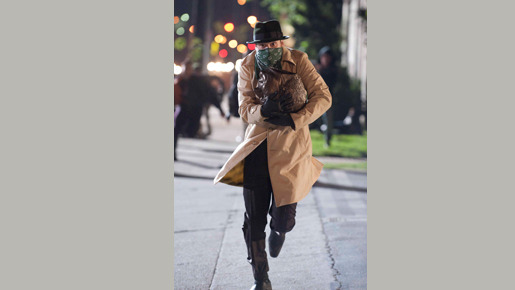 グリーン・ホーネット 10枚目の写真・画像