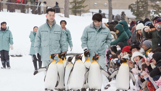 旭山動物園物語　ペンギンが空をとぶ 3枚目の写真・画像