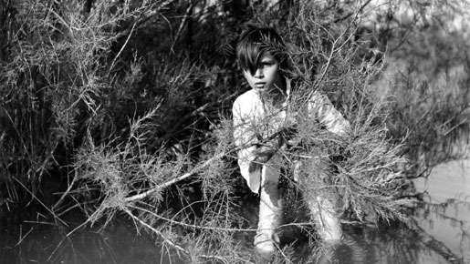 白い馬 4枚目の写真・画像