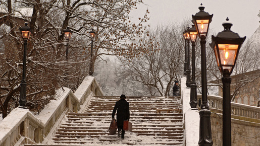 コッポラの胡蝶の夢 12枚目の写真・画像