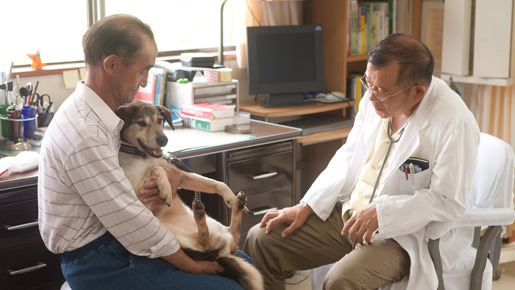 ディア・ドクター 9枚目の写真・画像