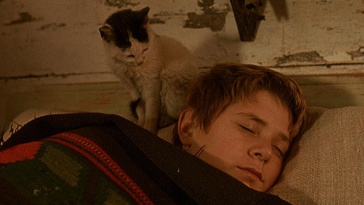 ウェディング・ベルを鳴らせ！ 3枚目の写真・画像