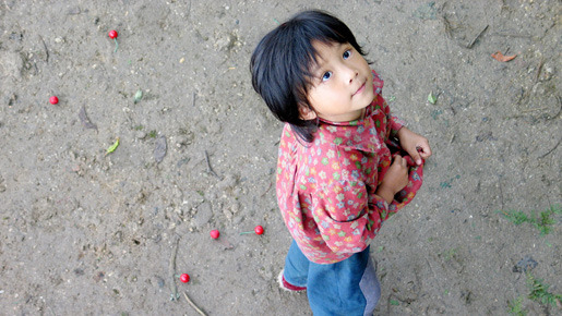 さくらんぼ　母ときた道 1枚目の写真・画像