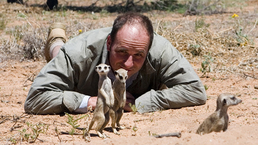 ミーアキャット 5枚目の写真・画像