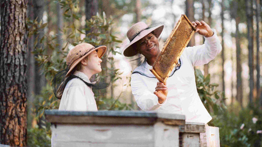 リリィ、はちみつ色の秘密 2枚目の写真・画像