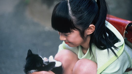 子猫の涙 5枚目の写真・画像