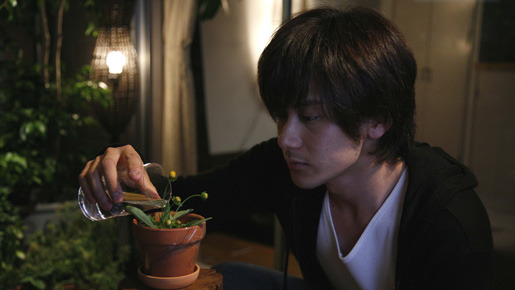 花ゲリラ 1枚目の写真・画像