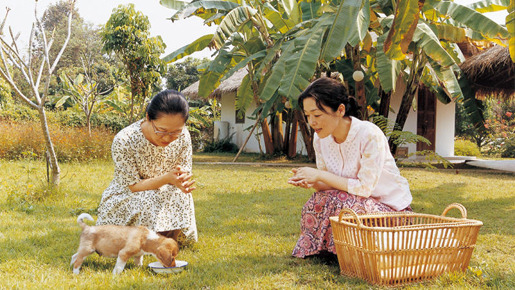 プール 5枚目の写真・画像