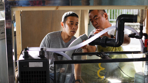 てぃだかんかん〜海とサンゴと小さな奇跡〜 8枚目の写真・画像