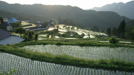 里山 2枚目の写真・画像