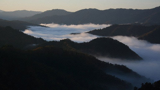 里山 5枚目の写真・画像