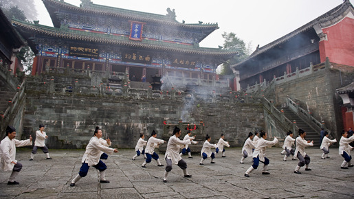 ベスト・キッド 8枚目の写真・画像