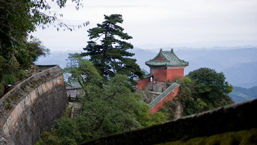 ベスト・キッド 14枚目の写真・画像