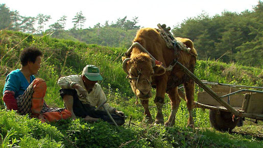 牛の鈴音 3枚目の写真・画像