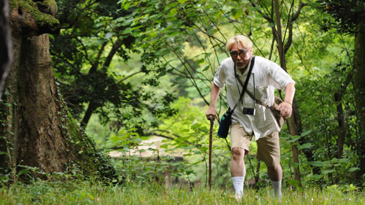 黄金花　-秘すれば花、死すれば蝶- 1枚目の写真・画像