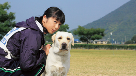 きな子〜見習い警察犬の物語〜 1枚目の写真・画像