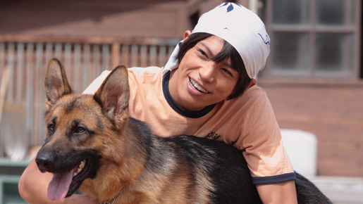 きな子〜見習い警察犬の物語〜 8枚目の写真・画像