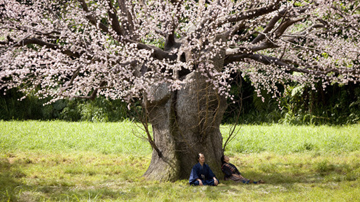 雷桜 4枚目の写真・画像