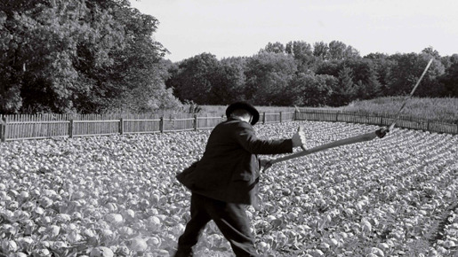 白いリボン 2枚目の写真・画像