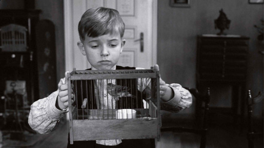 白いリボン 4枚目の写真・画像