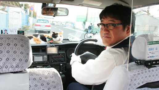 ねこタクシー 3枚目の写真・画像