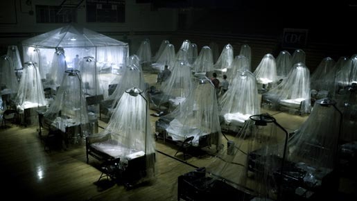 フェーズ6 2枚目の写真・画像