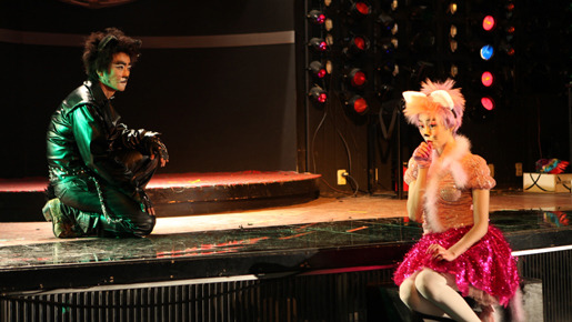 石ころの夢 11枚目の写真・画像