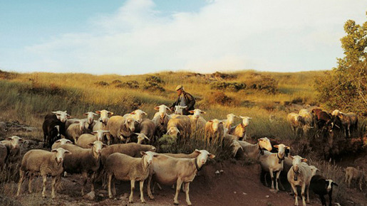 モダン・ライフ 1枚目の写真・画像