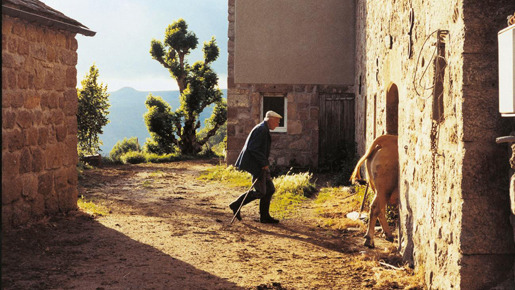 モダン・ライフ 3枚目の写真・画像