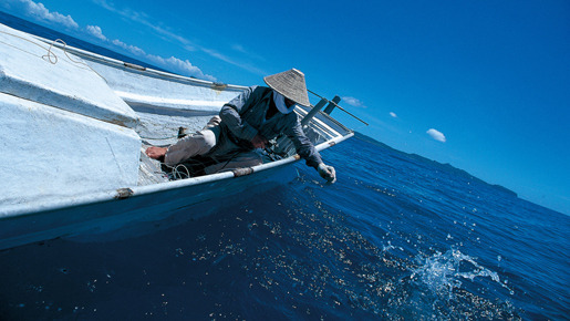 老人と海　ディレクターズ・カット版 1枚目の写真・画像