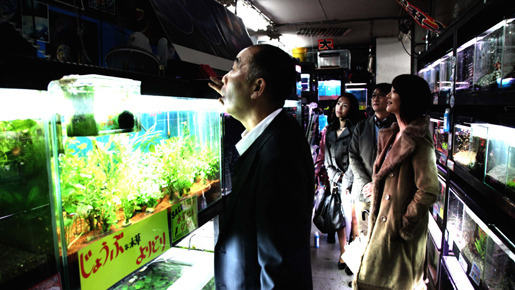 冷たい熱帯魚 4枚目の写真・画像