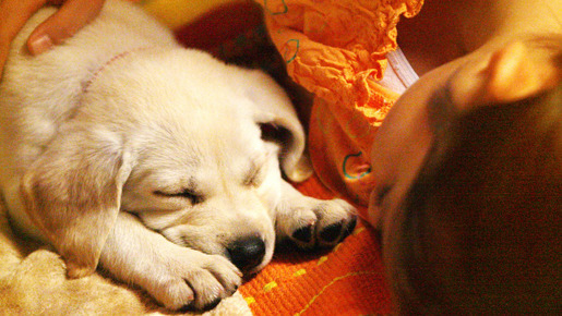 パートナーズ 2枚目の写真・画像