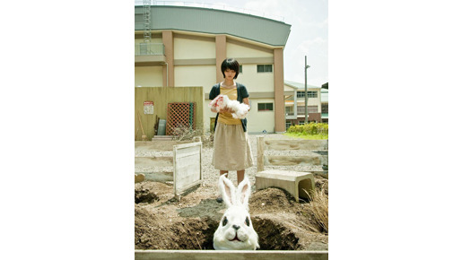 ラビット・ホラー3D 1枚目の写真・画像