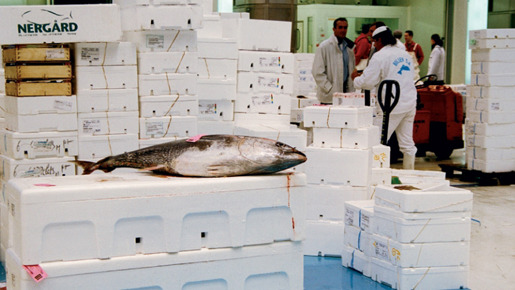 ありあまるごちそう 6枚目の写真・画像