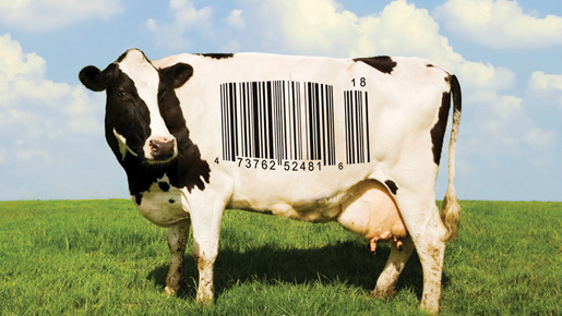 フード・インク 1枚目の写真・画像