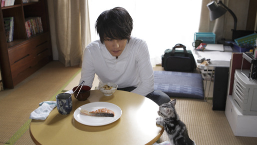 キミとボク 2枚目の写真・画像