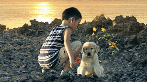 ロック 〜わんこの島〜 1枚目の写真・画像