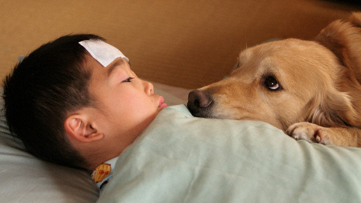 ロック 〜わんこの島〜 4枚目の写真・画像