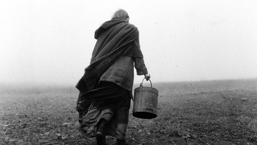 ニーチェの馬 1枚目の写真・画像