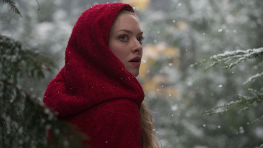 赤ずきん 1枚目の写真・画像