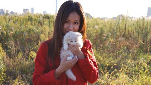 コネコノキモチ 1枚目の写真・画像