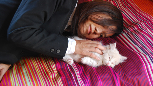 コネコノキモチ 2枚目の写真・画像