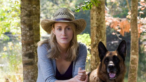 一枚のめぐり逢い 8枚目の写真・画像