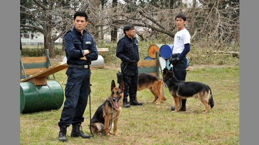 DOG×POLICE　純白の絆 12枚目の写真・画像