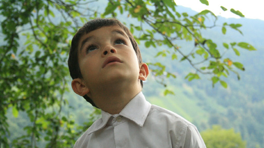 蜂蜜 4枚目の写真・画像