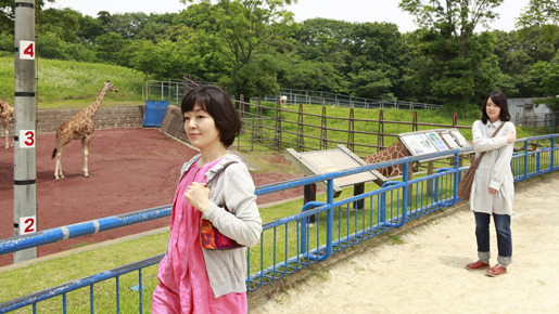 東京オアシス 3枚目の写真・画像