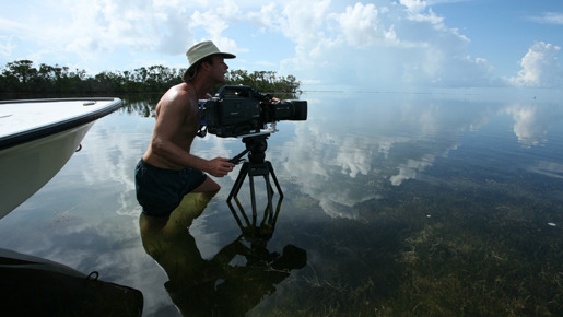 ライフ −いのちをつなぐ物語− 1枚目の写真・画像